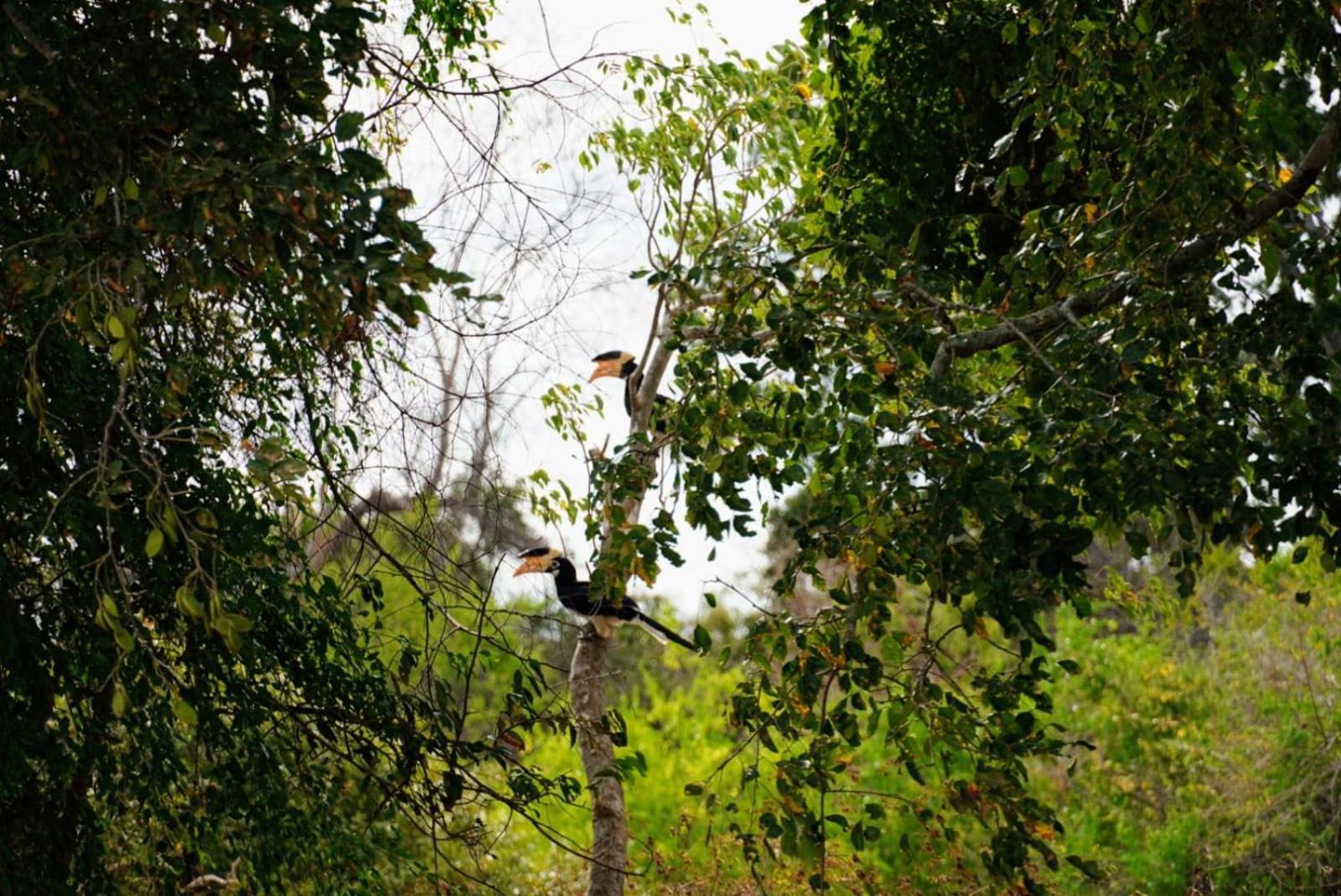 Surfers Park Arugambay Bed & Breakfast Arugam Bay Bagian luar foto